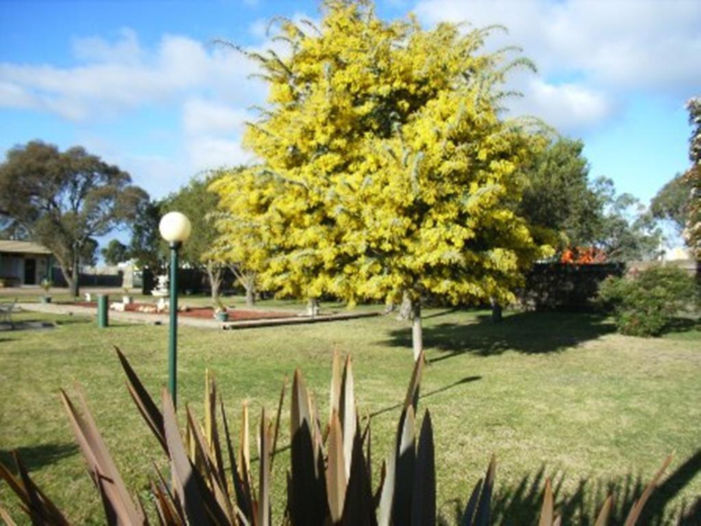 Bairnsdale Main Motel Exterior foto